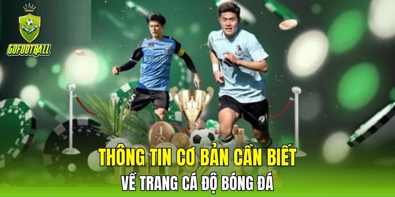 Thông tin cơ bản cần biết về trang cá độ bóng đá